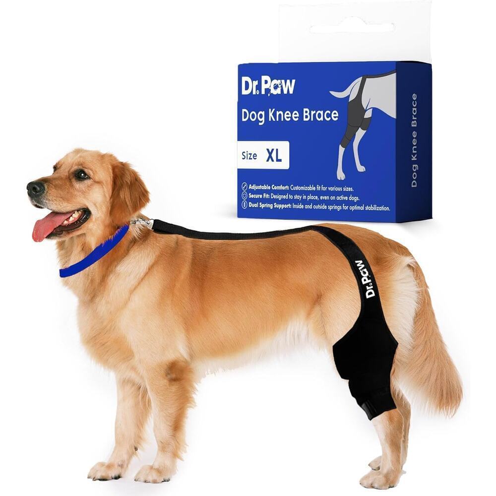 NEW Dr. Paw Dog ACL Knee Brace for Torn ACL Hind Leg Secure Fit Size XL